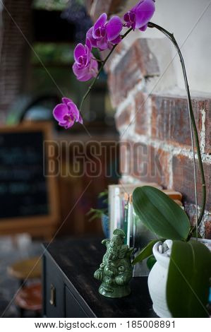 Home interior decor a ceramic statuette of Ganesh books and flower pots with purple orchid on black wooden commode on a red brick wall background