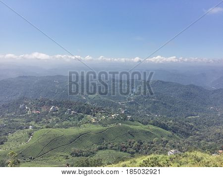 Trekking around Munnar tea estate hills in Kerala Idukki district India