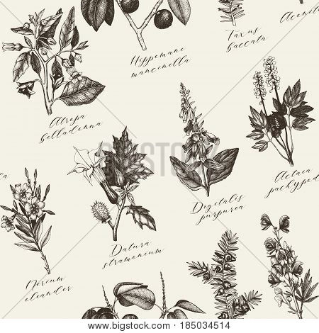 Vector seamless pattern with colorful hand drawn poisonous plants.