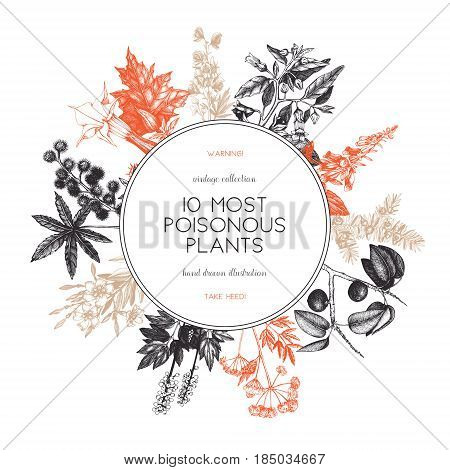 Vector frame design with hand drawn poisonous plants illustration. Vintage noxious plants sketch background. Botanical template with poisonous flowers isolated on white.