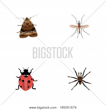 Realistic Arachnid, Ladybird, Butterfly And Other Vector Elements. Set Of Hexapod Realistic Symbols Also Includes Fly, Ladybird, Insect Objects.