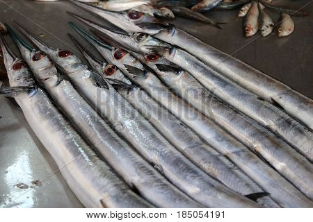 Gar fish at the market in Nuwara Eliya Sri Lanka