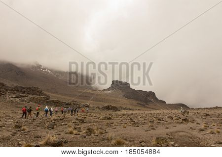 Track on Kilimanjaro on the Machame Route Whiskey. 3 day on the way