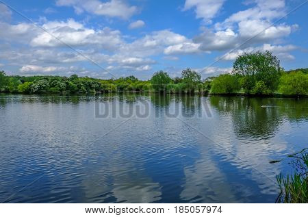 Wide angle view of lake and forest with blue sky and reflections. Springtime shot at Hainault Forest Essex.