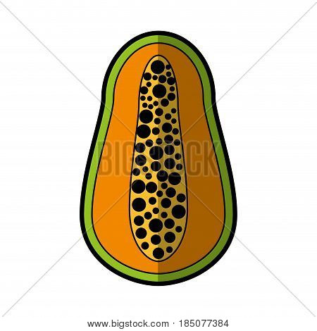 papaya fresh fruit icon vector illustration design