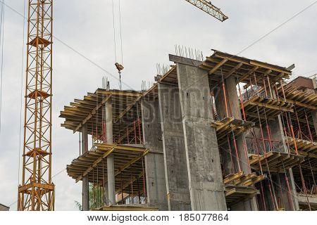 The tower crane over building. Grey sky.