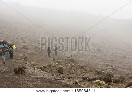 Track on Kilimanjaro on the Machame Route Whiskey. 4 day on the way