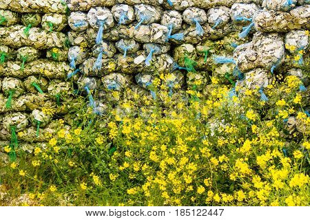 Tall Pile of Bags of Oyster Shells Behind Yellow Wildflowers