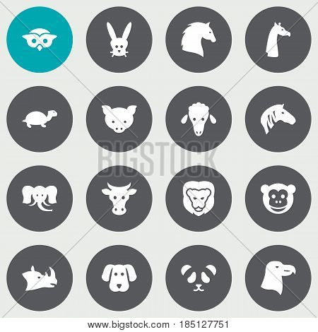 Set Of 16 Beast Icons Set.Collection Of Tortoise, Bunny, Hound And Other Elements.