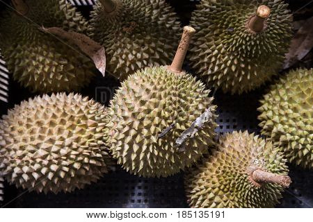 Heap Of Fresly Harvested Musang King Durian Variety