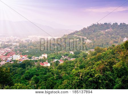 Cityscape on mountain and tree landscape nature with sunbeam and fog in blue sky