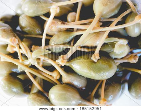 Caper Berries, Faded Vintage Look
