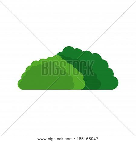 natural bush leaves floiage ecological vector illustration
