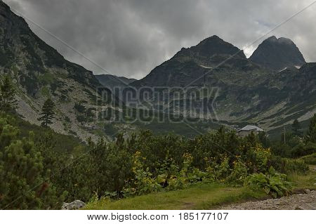 Mountain overgrown with coniferous forest, glade and rest-house toward Maliovitza peak in Rila 

mountain, Bulgaria