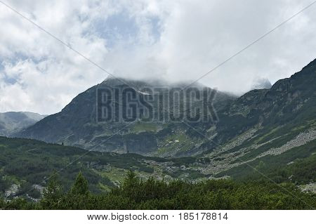 Mountain overgrown with coniferous forest and glade toward Maliovitza peak in Rila mountain, 

Bulgaria