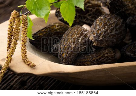 Fresh Morchella Conica, Seasonal Mushrooms.