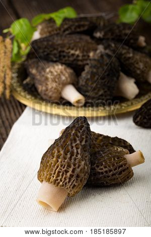 Fresh Morchella Conica, Seasonal Mushrooms.