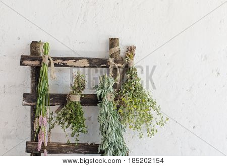 different fresh herbs on background old wall