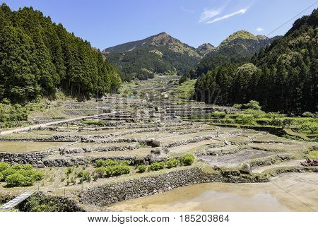 Yotsuya Rice Terrace of Shinshiro in Aichi, Japan.