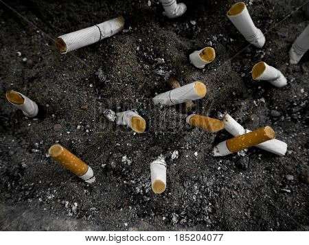 Cigarette butt in the pot. Many cigarette stub in sand ashtray. Close up shot.