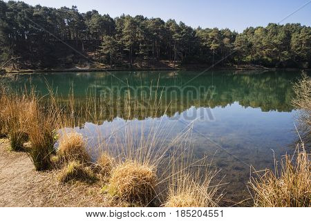 Beautiful Vibrant Landscape Image Of Old Clay Pit Quarry Lake With Unusual Colored Green Water