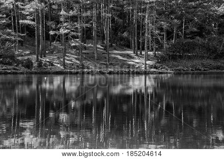 Beautiful Landscape Image Of Old Clay Pit Quarry Lake In Black And White Monochrome