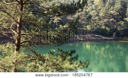 Beautiful Vibrant Landscape Image Of Old Clay Pit Quarry Lake With Unusual Colored Green Water