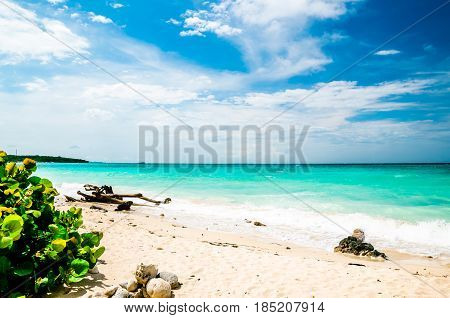 Paradise Playa Blanca beach of Baru bin Colombia