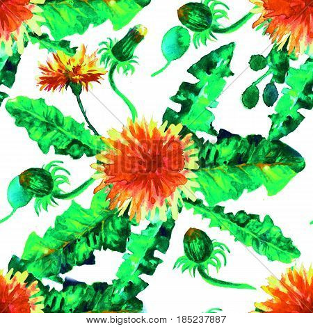 seamless pattern of wild flowers. yellow dandelions. watercolor