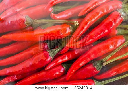 red hot chili peppers, popular spices concept - close-up on store packing of many red spicy peppers, isolated and packed under transparent plastic film, flat lay