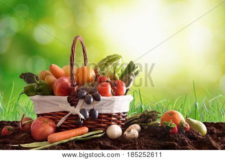 Fruits And Vegetables On Soil And Green Background