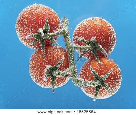 Cherry Tomatoes Branch with Sparkling Bubbles isolated on Blue Background