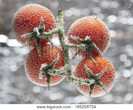 Cherry Tomatoes Branch with Sparkling Bubbles isolated on Silver Background