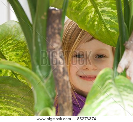 dieffenbachia, portrait, little girl seven years old, surrounded by leaves diffenbachia, botanical garden, looks camera, smiling, long wheat hair, happy child, bright day, lilac jacket, front, hide