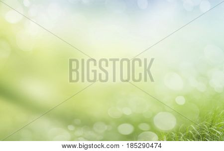 planed floor and grass on the background bokeh