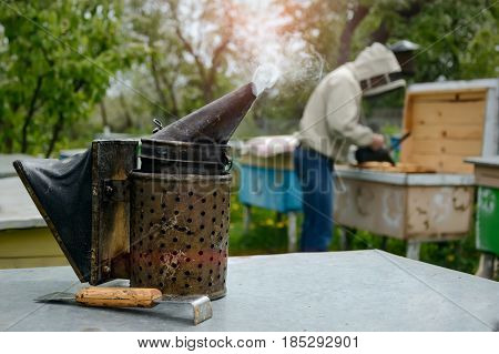 Old bee smoker. Beekeeping tool. The beekeeper works on an apiary near the hives