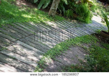Green Garden Pathway In Summer stock photo