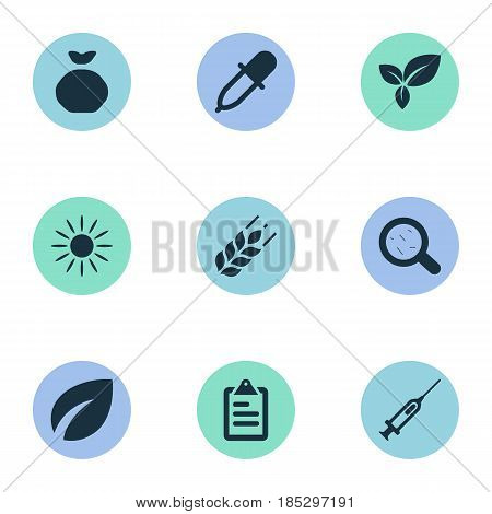 Vector Illustration Set Of Simple Agricultural Icons. Elements Pipette, Syringe, Leaves And Other Synonyms Medicine, List And Dropper.