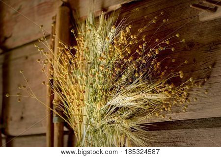 Sheaps of wheat and herbs in the shed of a village house.