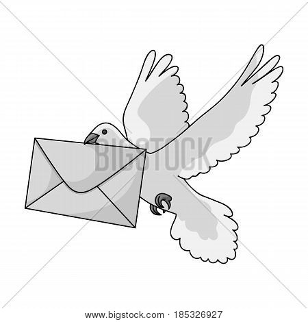 Post pigeon.Mail and postman single icon in monochrome style vector symbol stock illustration .