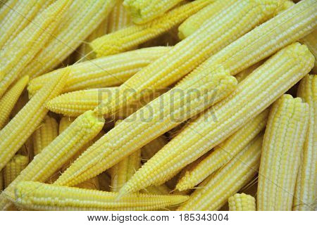 Baby corn cobs arranged as a background