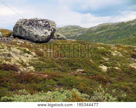 View on a Norwegian bolder in the mountains