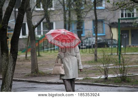 rainy spring city street with human walk under unbrellas