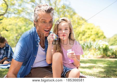 Happy Father and daughter blowing bubble with bubble wand at picnic in park