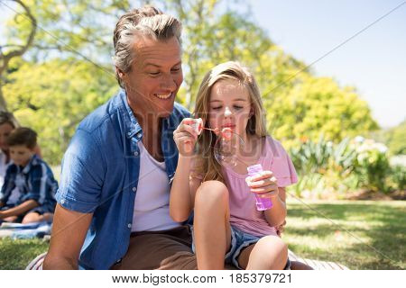 Happy Father and daughter blowing bubble with bubble wand at picnic in park