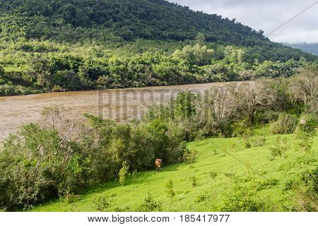 Taquari River And Farm