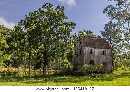 Old Wood House