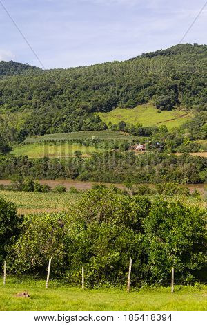 Farm And River