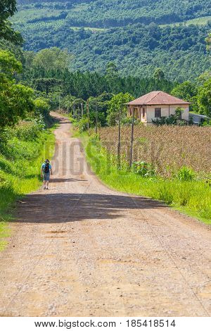Trekking In Dirt Road