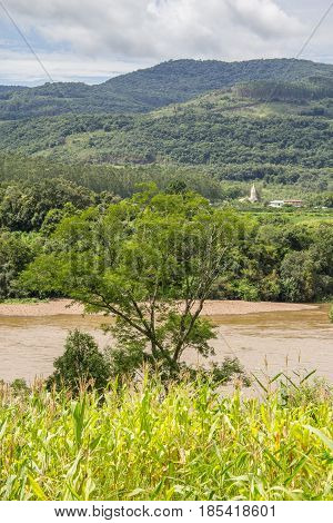 Corn Plantation And River